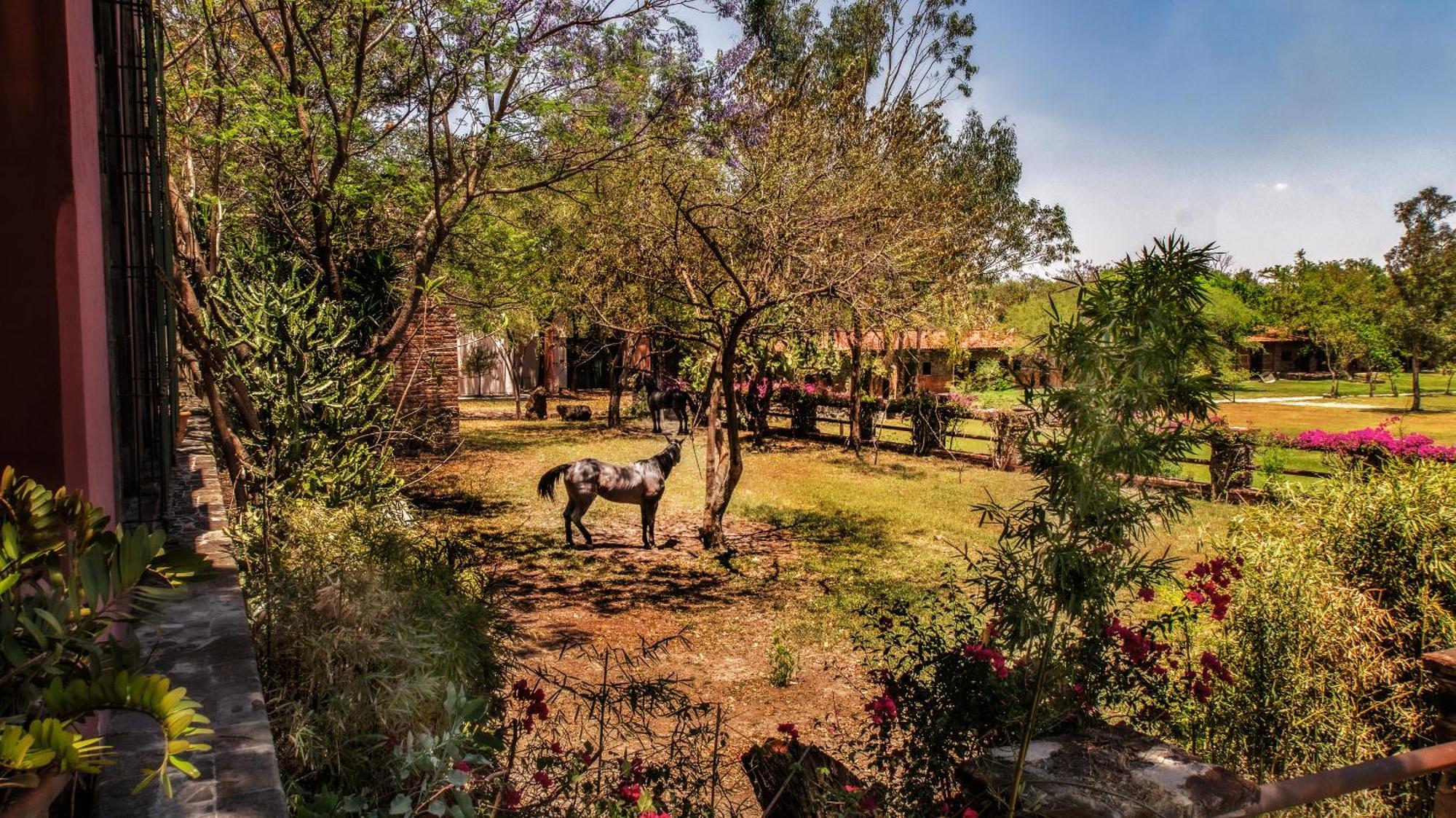 Hacienda Labor De Rivera Hotel Boutique & Eventos Teuchitlán Екстериор снимка